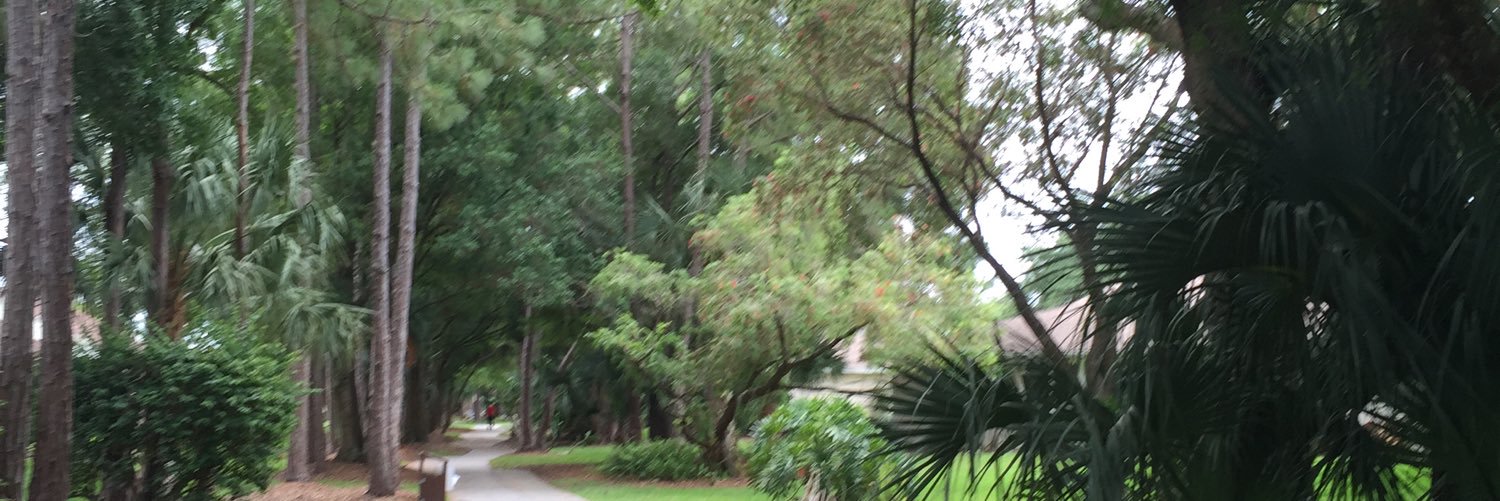 ChuckLewis17's profile banner image