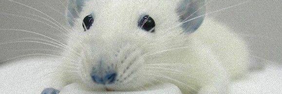 tasku238's profile banner image