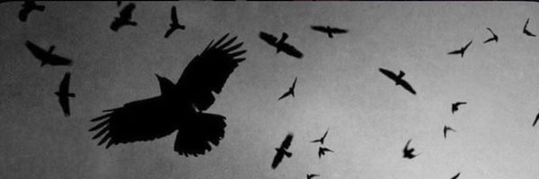 mezzft_ Profile Banner