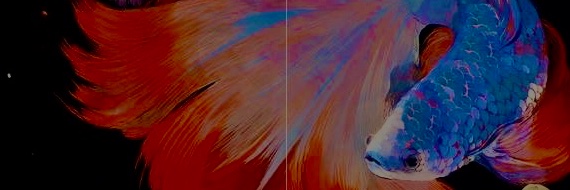godchiIdren's profile banner image