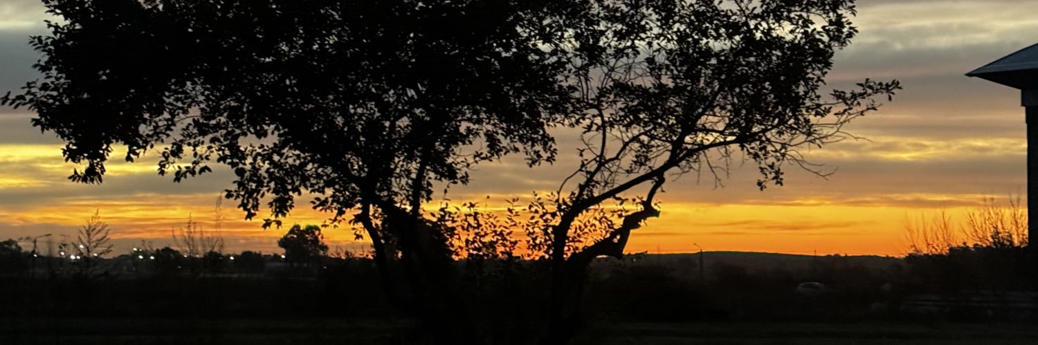 TommyHadad's profile banner image