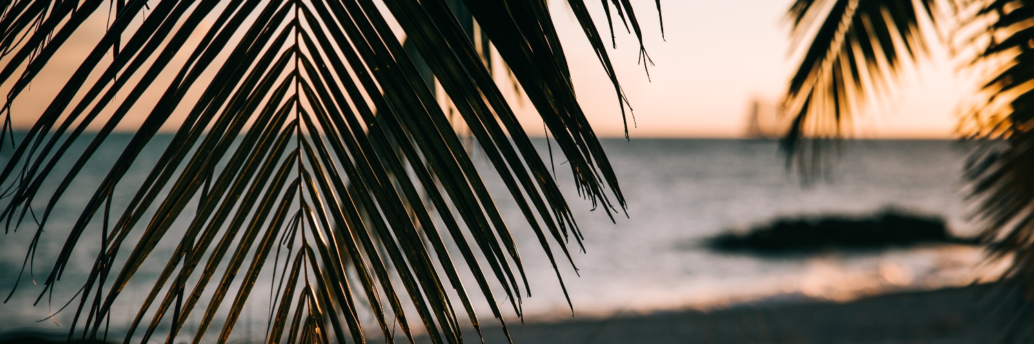 SusannahAmanda's profile banner image