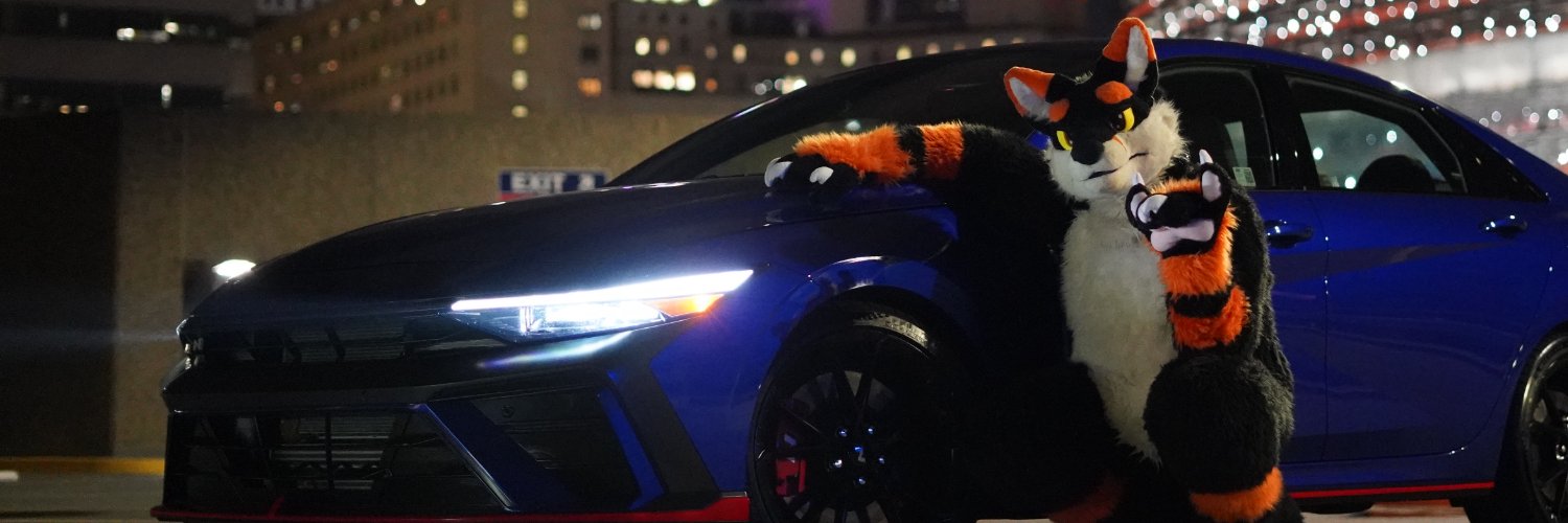 plastickfox 🔜 MFF, NYFB 📸🦊's banner
