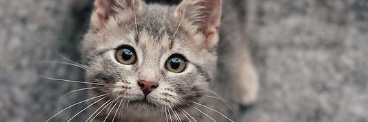 hvva159's profile banner image