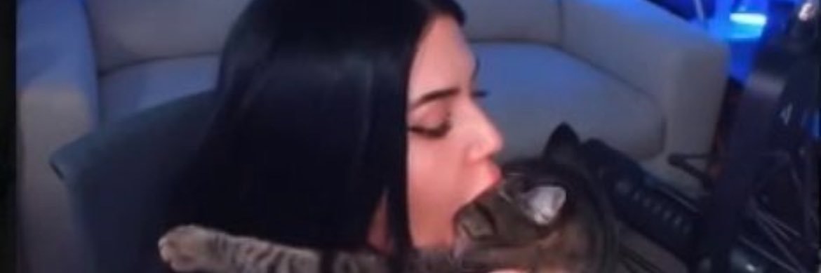 KaleisScatSlave's profile banner image