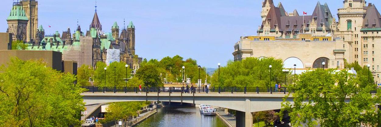 Scott Ledingham banner