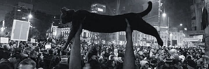 nyarispuitis's profile banner image
