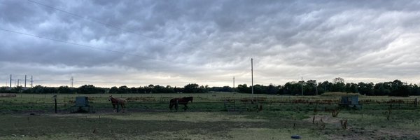 avidwanderer Profile Banner