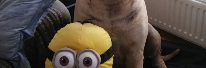 keihardj's profile banner image