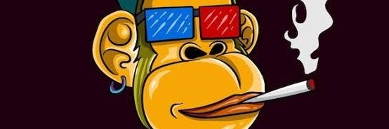 ShulaConcepts's profile banner image