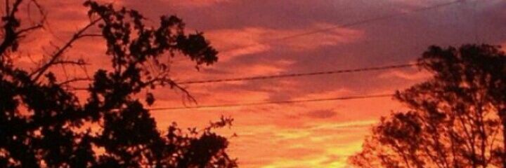 Cami_noeli's profile banner image