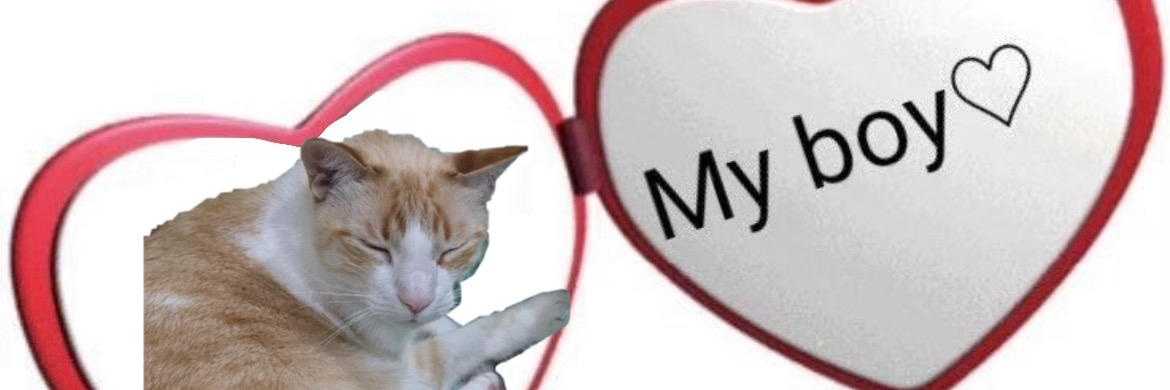 sleepi banner