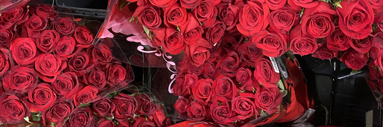 _ncolin's profile banner image