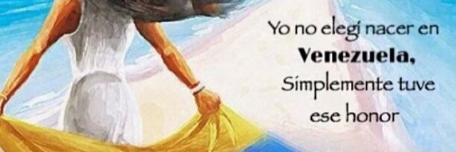 mmbricber's profile banner image