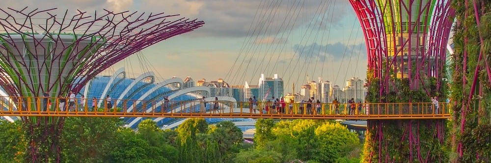 oscartaylorcr's profile banner image