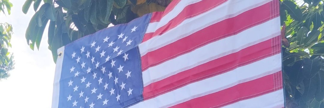 American Patriot Bitch's banner