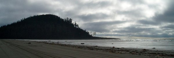 lisasj Profile Banner