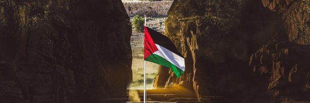 VIRALKEN 🇵🇸 banner