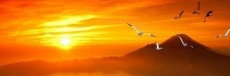 nanyud's profile banner image