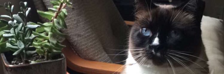 whoa_weird's profile banner image