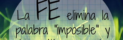 lau meisel banner