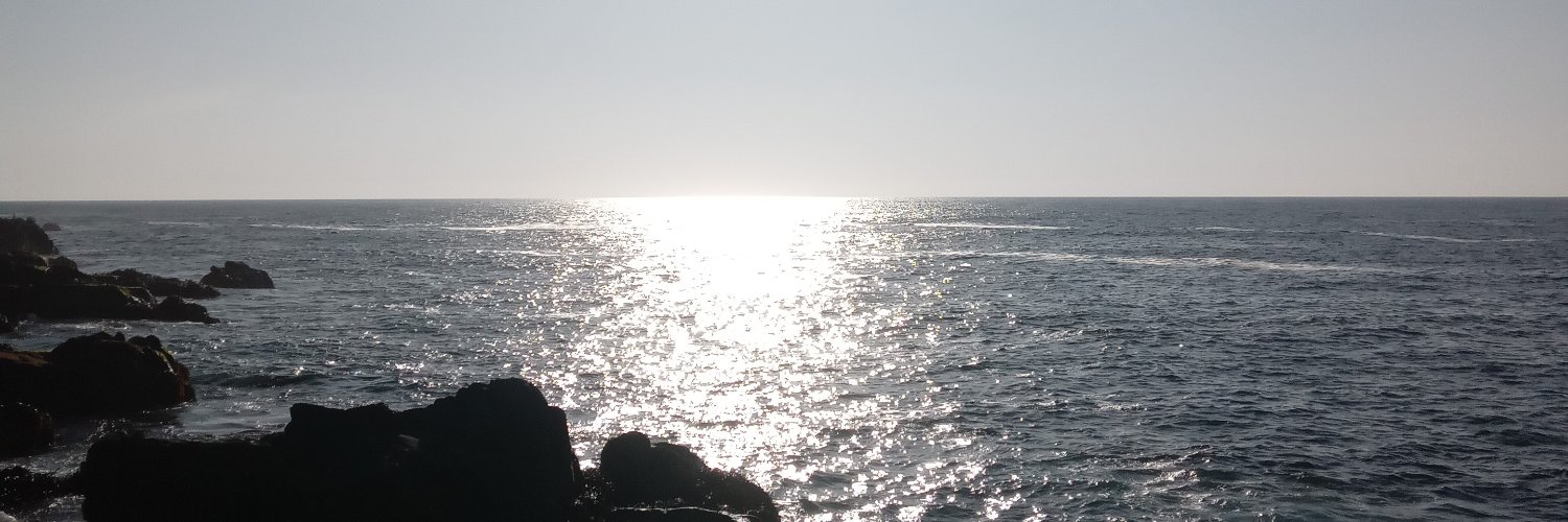 evyserena's profile banner image