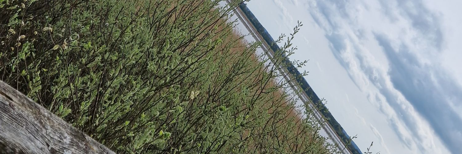 Robbyn952097's profile banner image