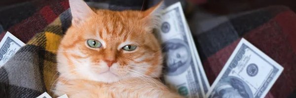 Rosh banner
