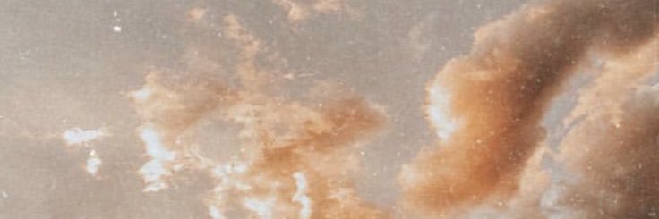 Nina banner