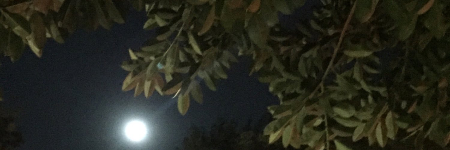 Marielesp123's profile banner image