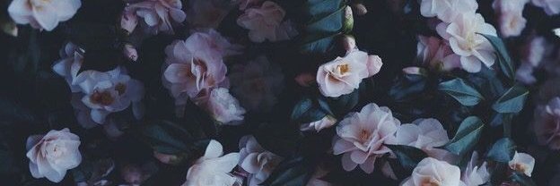 tienella1's profile banner image