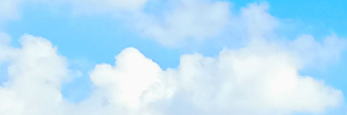 트친소 | Igae banner