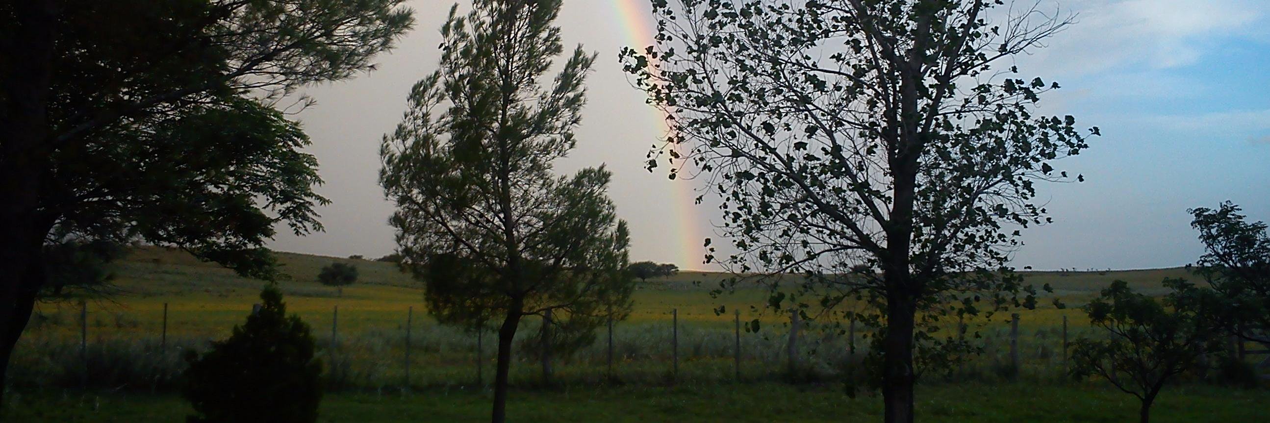 vnliceda14's profile banner image