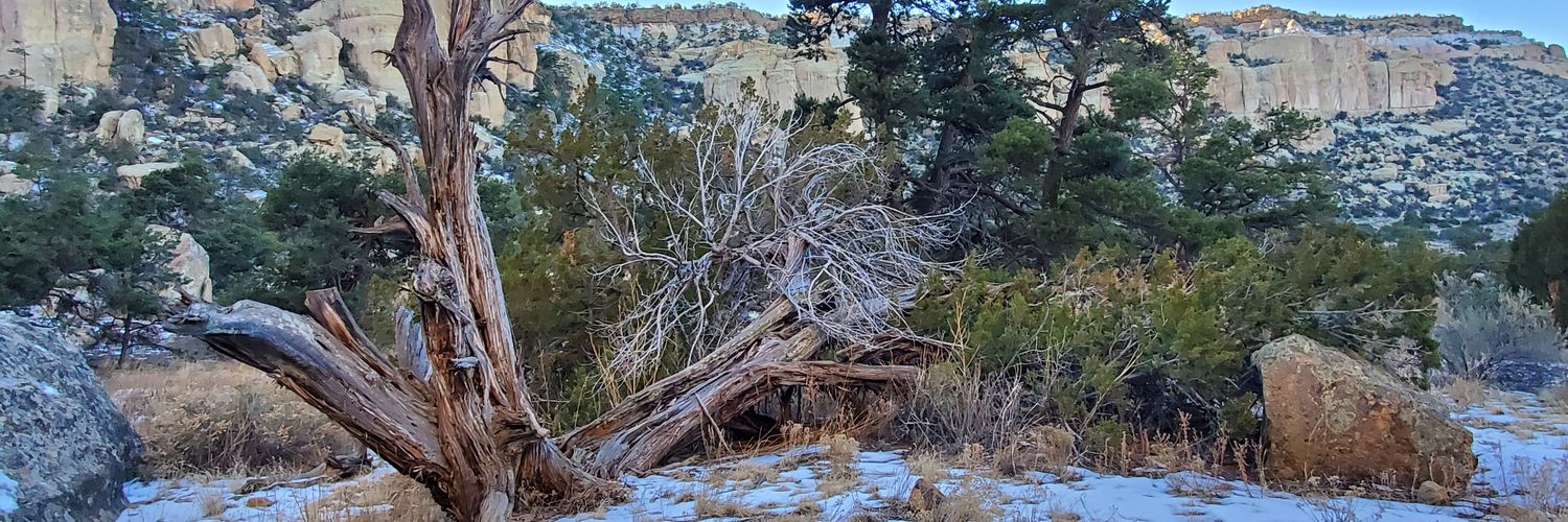 @akrontab@infosec.exchange banner