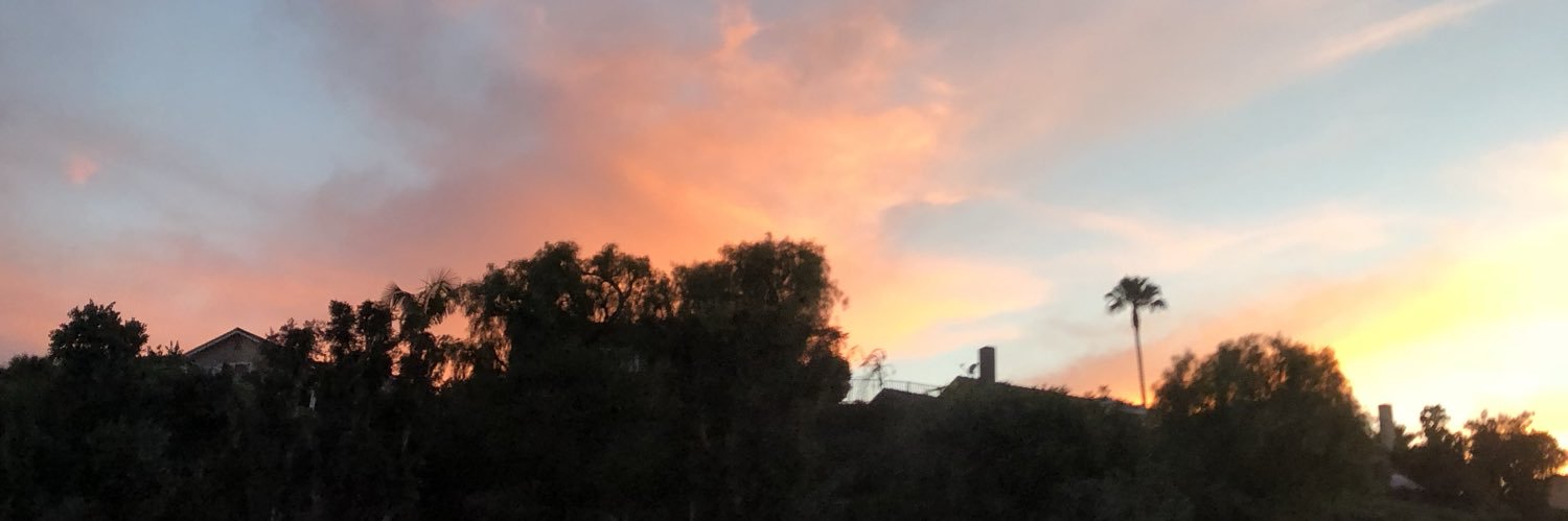 traciedel4's profile banner image