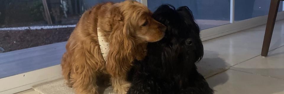 edgarborjar's profile banner image