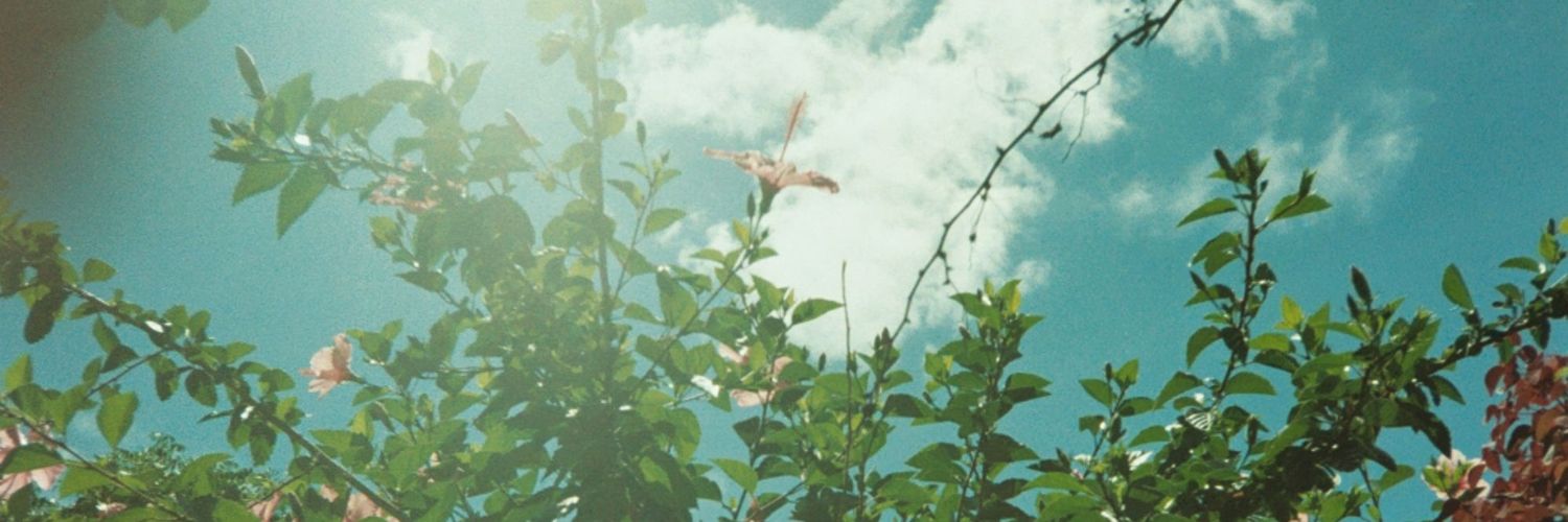 chmpsupernova's profile banner image