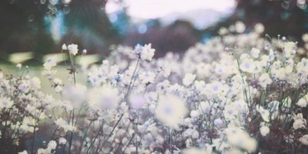 agusgilardi's profile banner image