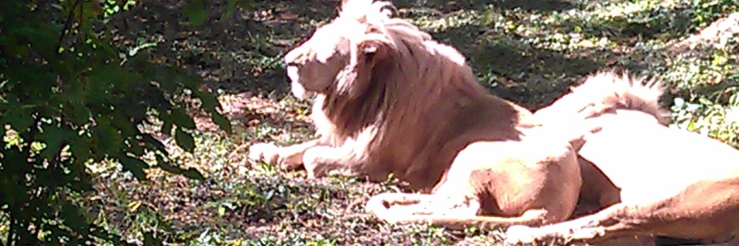 shelly45157's profile banner image