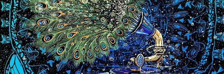 MagaIb_'s profile banner image