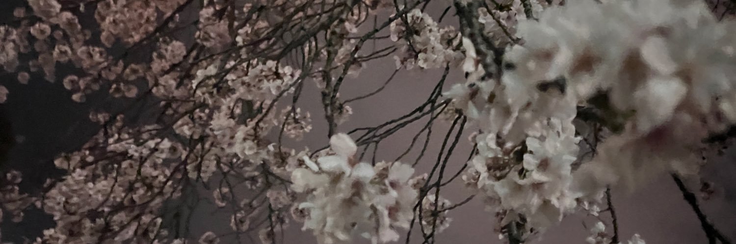 s2_zz4's profile banner image