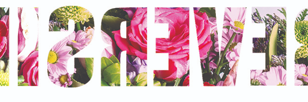 IRREVERSIBLEmag's profile banner image