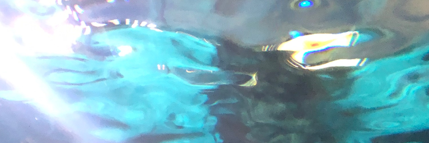 FrostbiteWyvern's profile banner image