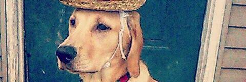 HardMoneySwag's profile banner image