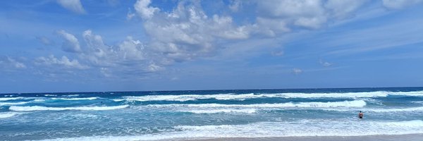 RuolinFan Profile Banner
