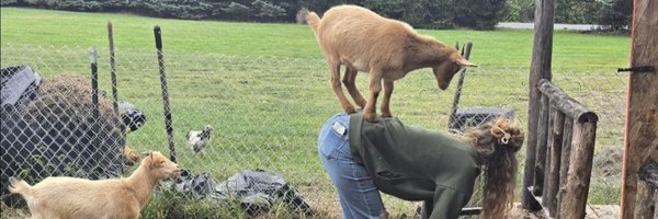 b00ml00p Profile Banner