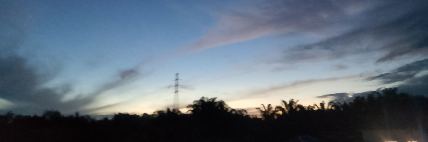 pentolgoson's profile banner image