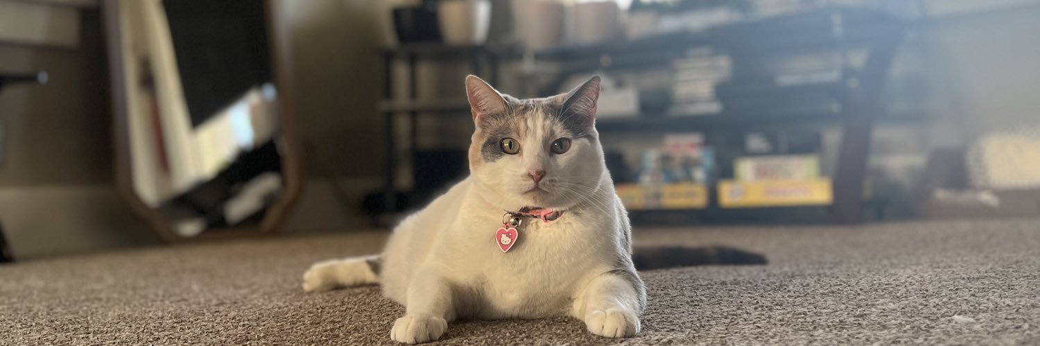 _NicoleeJade's profile banner image