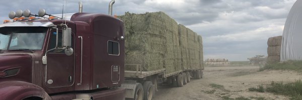 Gusinalberta Profile Banner