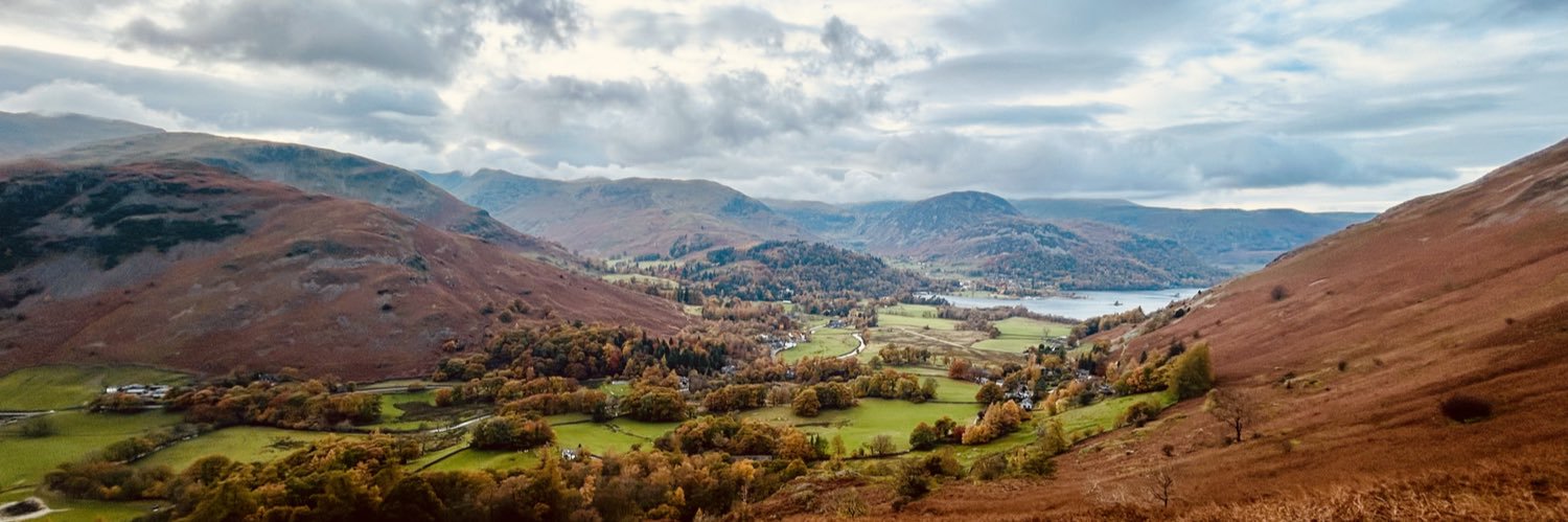 Joni Mitchell banner